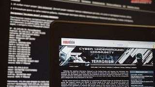 In this July 24, 2017 photo, archived versions of two Russian anti-terrorism websites on a computer screen are photographed, in Paris. 
