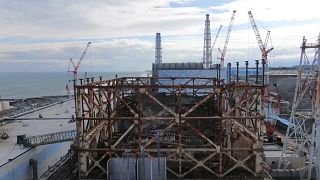Experts say Fukushima "is a completely different story" to Chernobyl