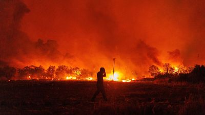Flames burn a forest during a wildfire in Avantas, near Alexandroupolis, Greece, 21 August 2023.