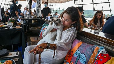  A visitor sits with her cat on the Royal Albatross, a luxury tall ship that hosts sailing and dining experiences around the waters of Singapore with pets allowed.