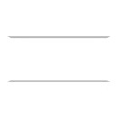 state of the union